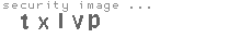 security image