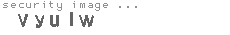 security image