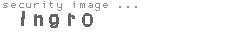 security image