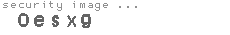security image