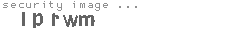 security image