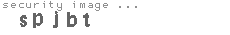 security image