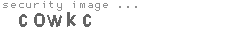 security image