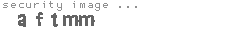 security image