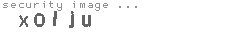 security image