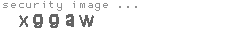 security image