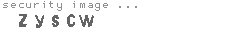 security image