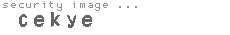 security image