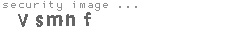 security image