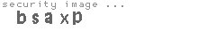security image