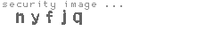 security image