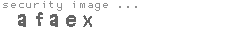 security image