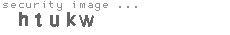 security image