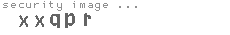 security image