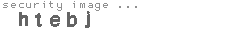 security image