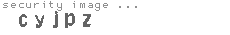 security image