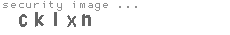 security image