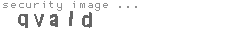 security image