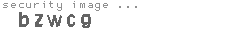 security image