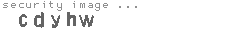 security image