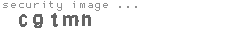 security image