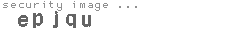 security image