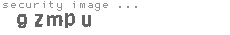 security image