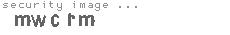 security image