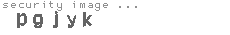 security image