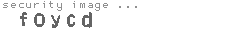 security image