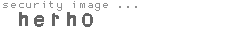security image