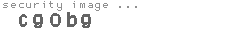 security image