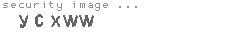 security image