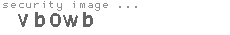 security image