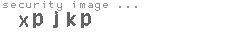 security image