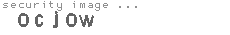 security image