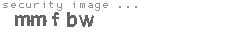 security image