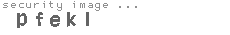 security image