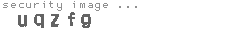 security image