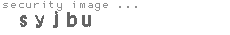 security image