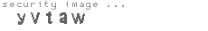 security image