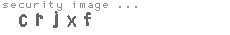 security image