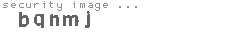 security image