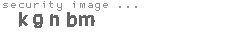 security image