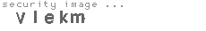security image