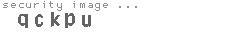 security image