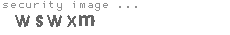 security image