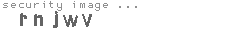security image