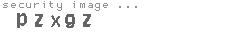 security image