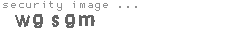 security image